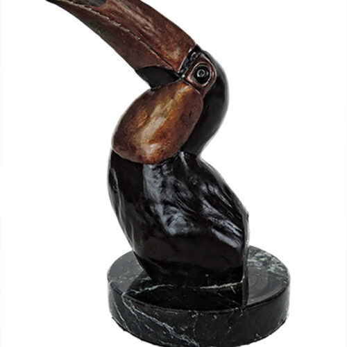 billhunt-toco-toucan