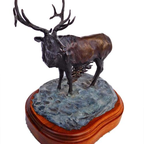 Track-N Elk Limited edition, bronze sculpture by Gene Calhoun available from Sculpture Collector