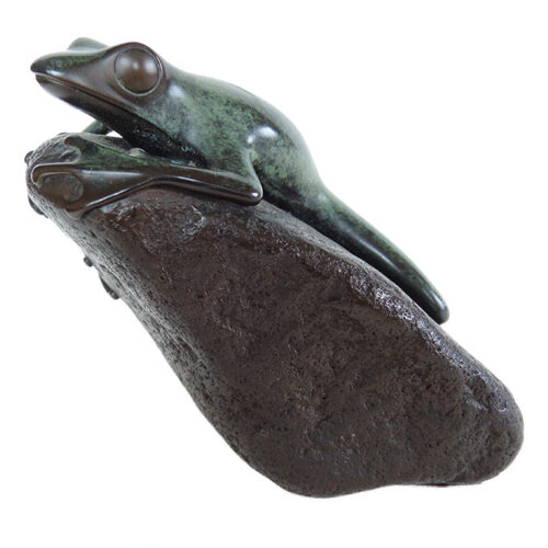 Phil Vanderlei ‘Frog on Rock’