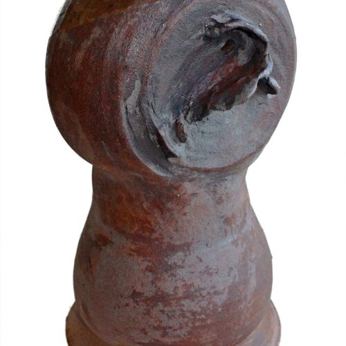 Porcelain Stoneware - Side head by Peter Daniels