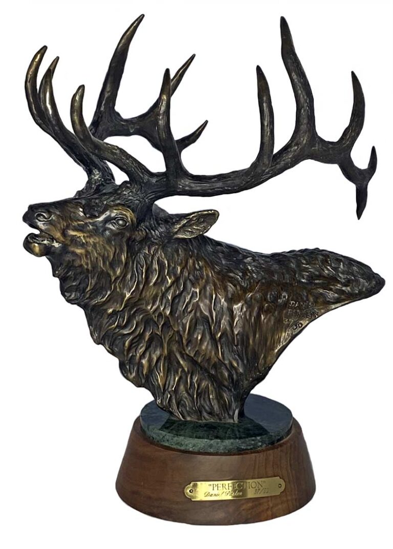 Daniel Parker bronze sculpture of an Elk titled Perfection