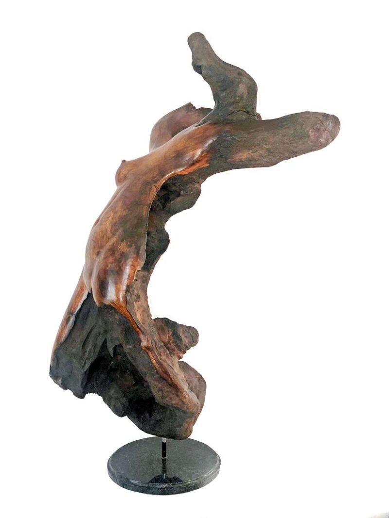Sig deTonancour - wood sculpture Female Lounging Torso