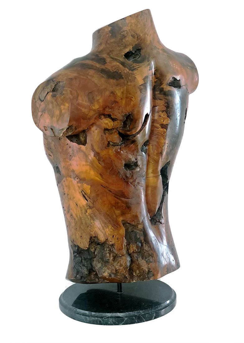 Sig deTonancour - carved wood sculpture Male Torso