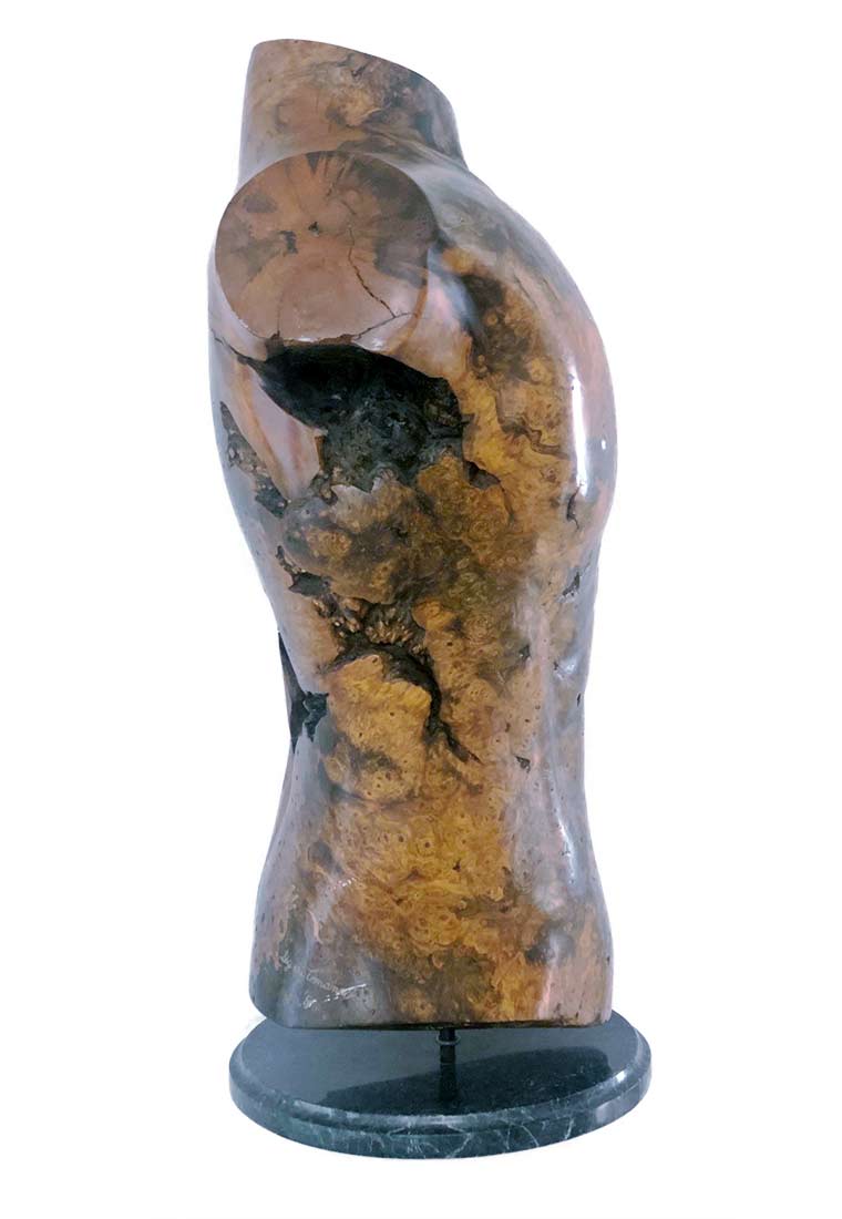 Sig deTonancour - carved wood sculpture Male Torso