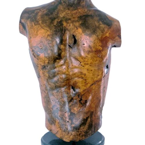 Sig deTonancour – carved wood sculpture Male Torso