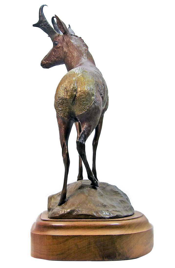 Sentinel of the Plains a limited edition bronze Pronghorn sculpture by Bud Boller