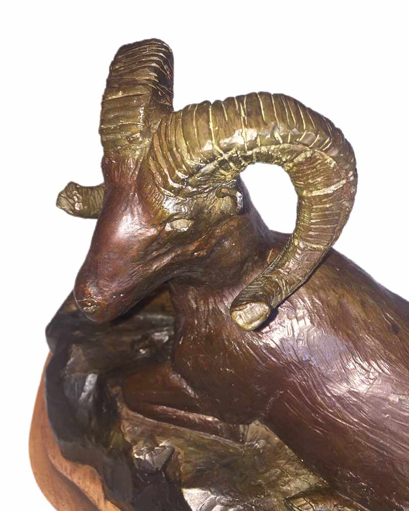 James Marsico bronze wildlife artist = Resting Ram his first professional sculpture