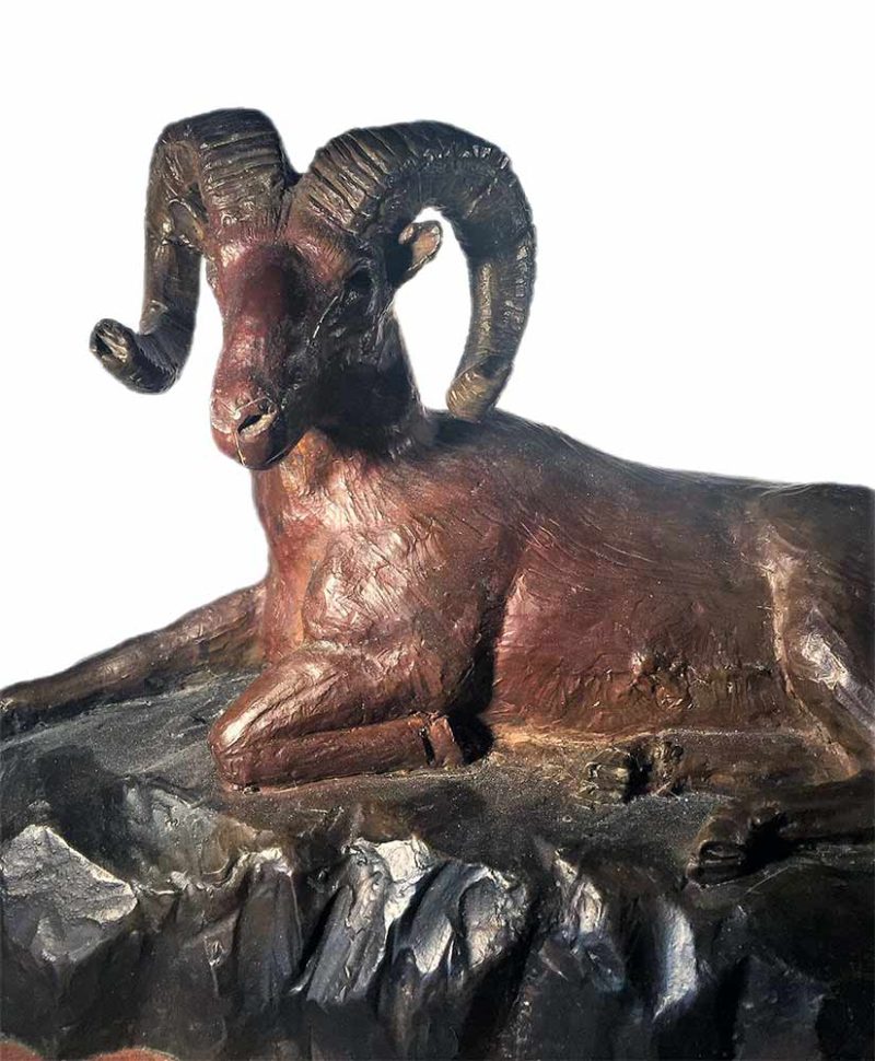 James Marsico bronze wildlife artist = Resting Ram his first professional sculpture