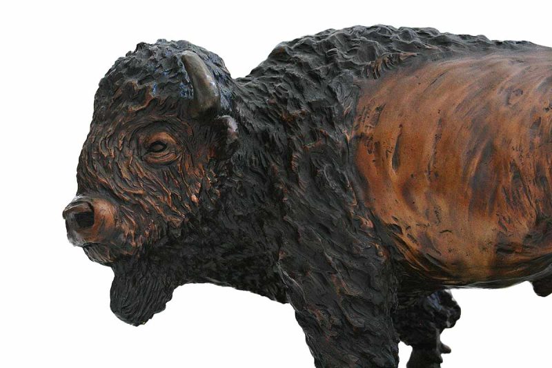 Prize Bull - a limited edition sculpture in bronze of a Bison by noted wildlife sculptor Carl Wagner