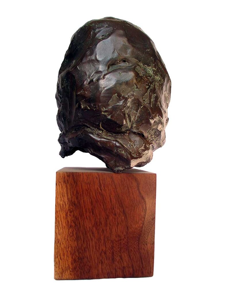 A bronze sculpture bust titled "Crow Matriarch" by noted sculptor-artist Glenna Goodacre one of 10 pieces in this limited edition. This is edition No. 8 availalber now on Sculpture Collector.com where unique and creative sculpture is bought, sold, and brokered in a secure and private manner globally.