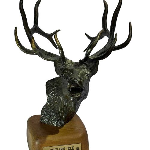 A wildlife bronze Elk sculpture by noted bronze animal sculptor Carl Wagner titled "Bugling Elk". Available now through SculptureCollector.com where unique sculpture is purchased in a secure and provate manner globally.